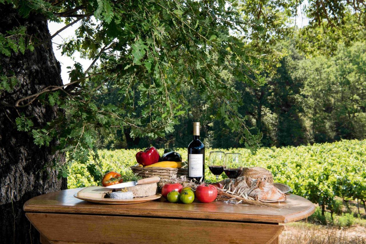 Bastide De Fave Bed & Breakfast Brue-Auriac Exterior photo